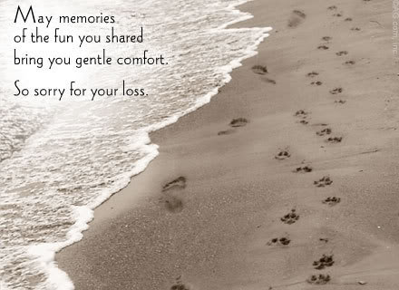 Name:  petsympathy.jpg
Views: 19
Size:  30.1 KB