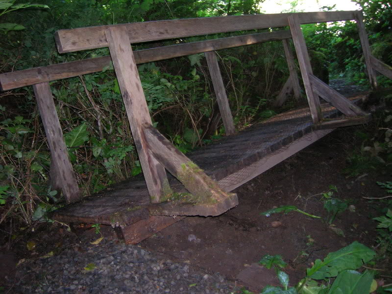 Name: DSCN0708.jpg
Views: 19
Size: 106.8 KB