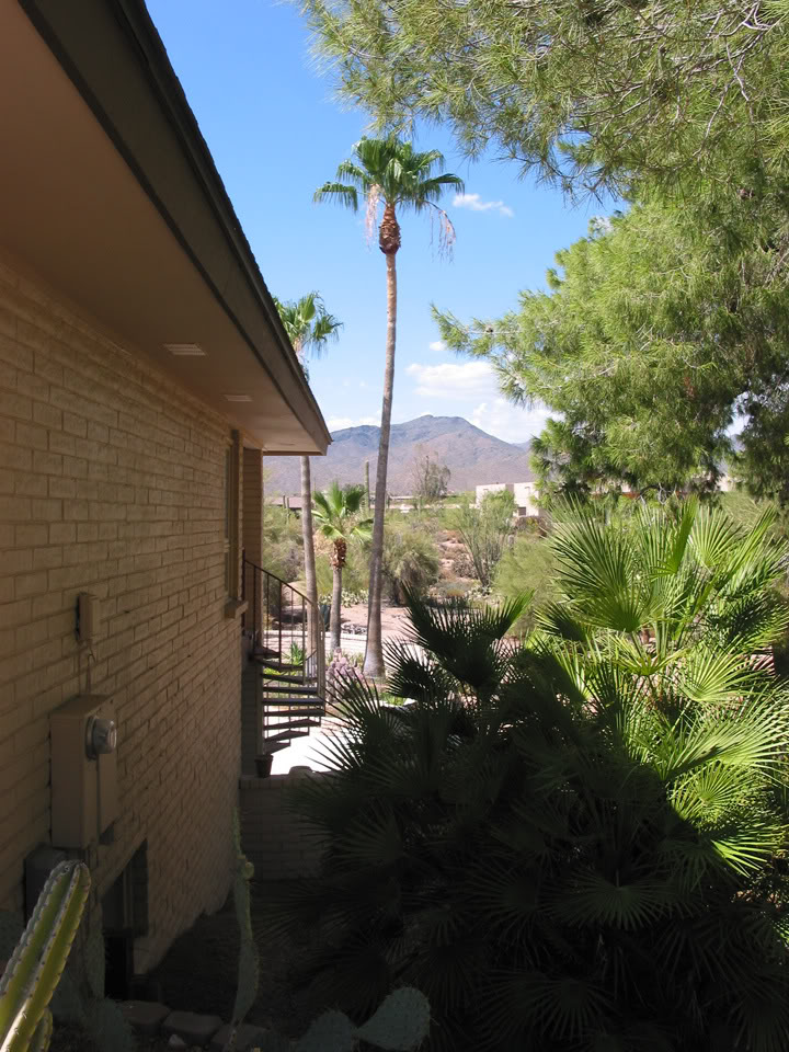 Name:  HOUSE_SIDE.jpg
Views: 14
Size:  180.0 KB