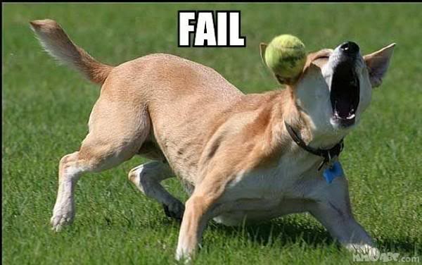 Name:  dogtennisball.jpg
Views: 12
Size:  36.5 KB