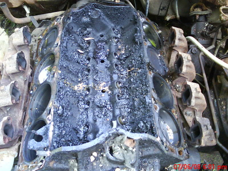 Name: ntbf22024.jpg
Views: 16
Size: 160.3 KB