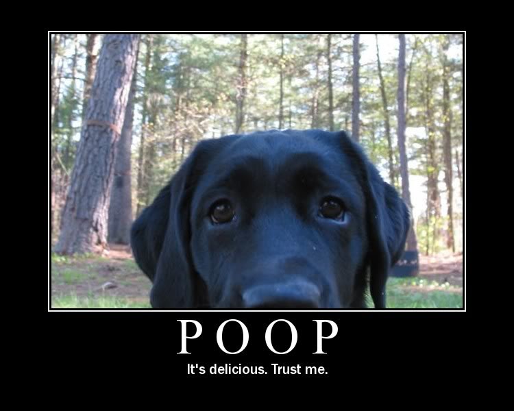 Name:  84FD3078D5E540E2B09554215E4B4EB4.jpg
Views: 16
Size:  55.7 KB