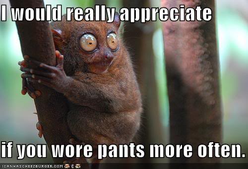 Name:  funny-pictures-pants-more-often.jpg
Views: 10
Size:  30.9 KB