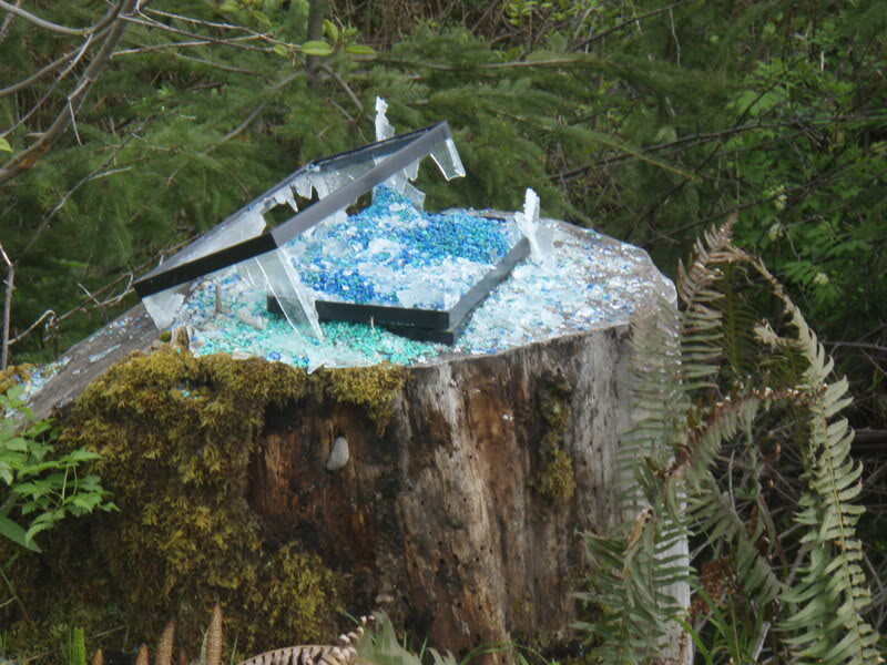 Name:  P5144909.jpg
Views: 53
Size:  122.0 KB