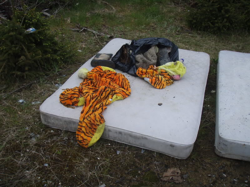 Name:  P5144898.jpg
Views: 42
Size:  114.7 KB