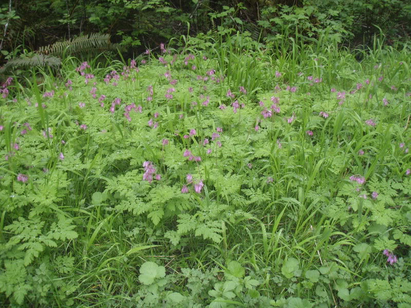 Name:  P5144907.jpg
Views: 56
Size:  149.2 KB