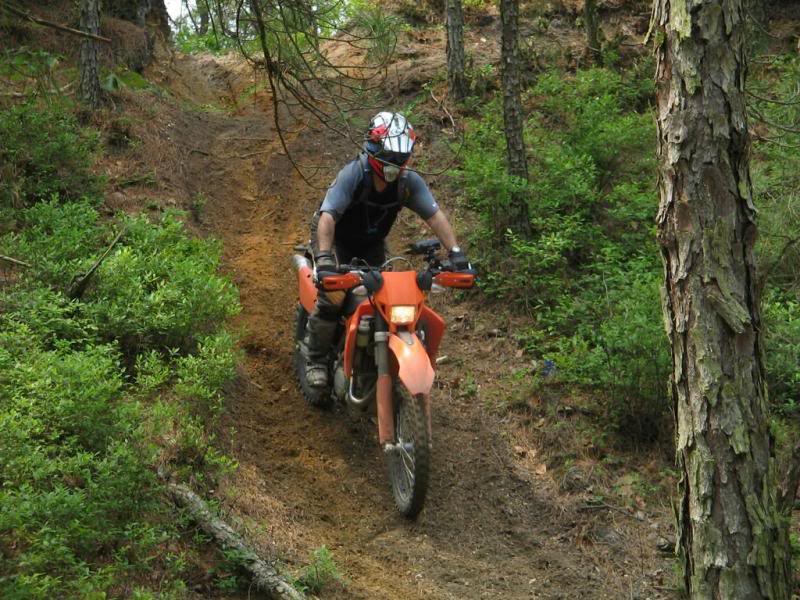 Name:  NE065.jpg
Views: 14
Size:  112.6 KB