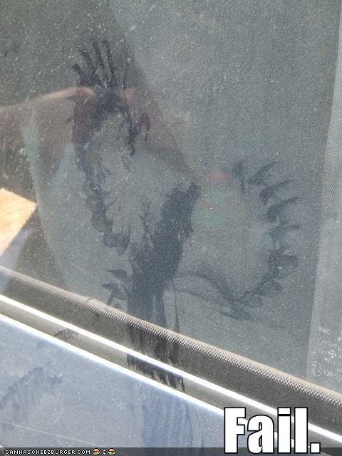 Name:  bird-window-fail.jpg
Views: 60
Size:  52.4 KB