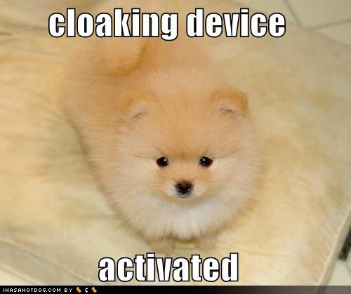 Name:  cloaking-device-bed.jpg
Views: 54
Size:  29.3 KB