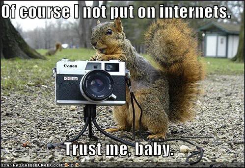 Name:  creepy-squirrel-camera-park.jpg
Views: 59
Size:  54.7 KB