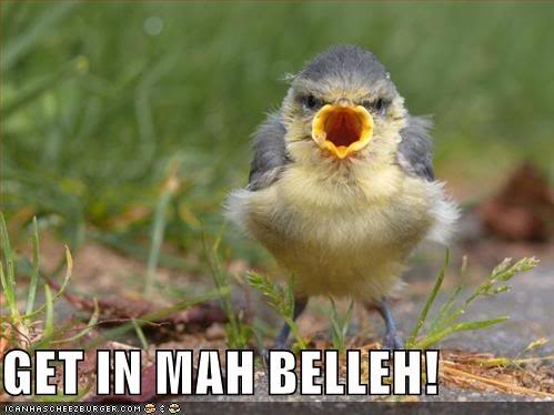 Name:  bird-mouth-belly.jpg
Views: 51
Size:  28.6 KB