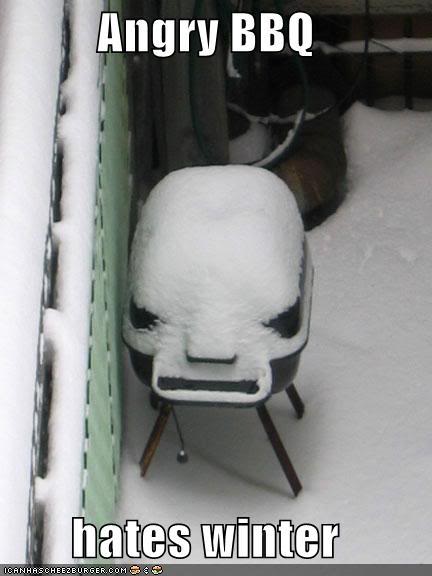 Name:  angry-bbq-hates-winter-snow.jpg
Views: 49
Size:  29.6 KB