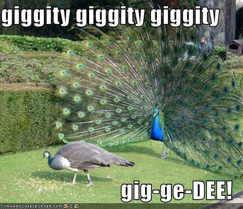 Name:  family-guy-peacock.jpg
Views: 51
Size:  57.5 KB