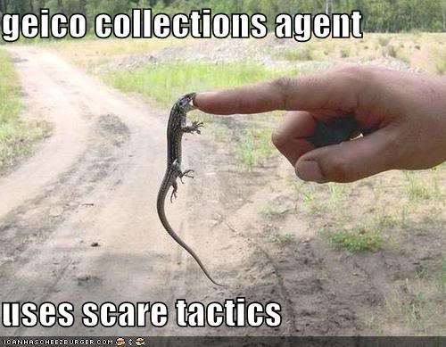 Name:  gecko-bites-finger.jpg
Views: 70
Size:  40.0 KB