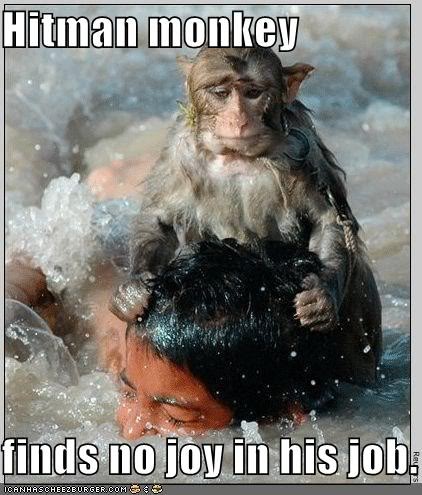 Name:  hitman-monkey-drowns-boy.jpg
Views: 54
Size:  52.2 KB