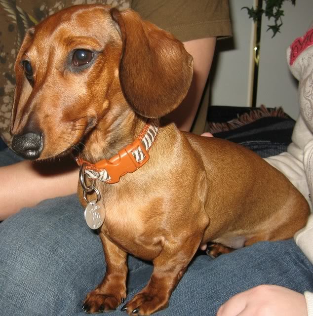 Name:  lowrider2.jpg
Views: 16
Size:  94.8 KB