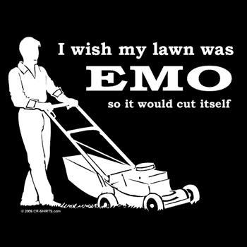 Name:  emo-lawn.jpg
Views: 13
Size:  16.3 KB
