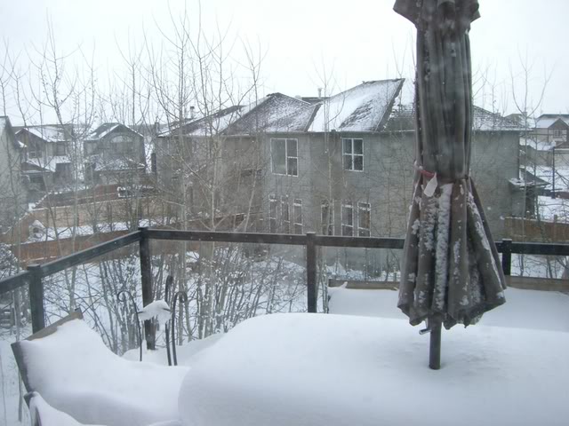 Name: CIMG0479.jpg
Views: 73
Size: 92.0 KB