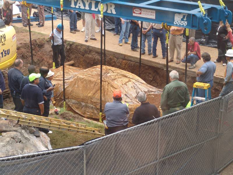 Name:  DSC08754.jpg
Views: 21
Size:  103.2 KB