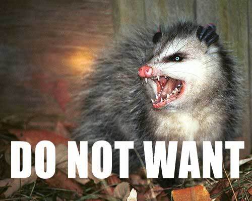 Name:  3083743-donotwantopossum.jpg
Views: 13
Size:  29.5 KB