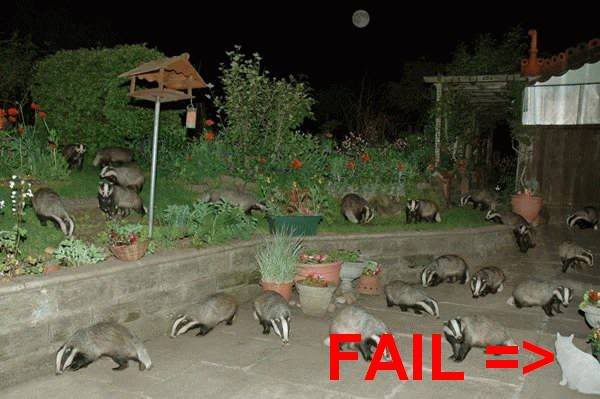Name:  badgerfail.jpg
Views: 23
Size:  35.7 KB