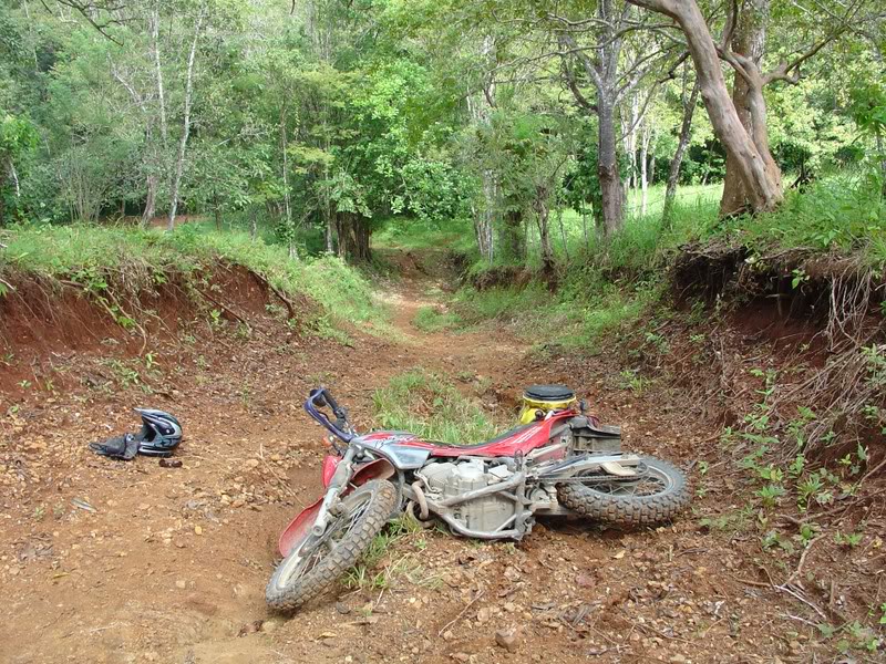 Name:  DSC01105.jpg
Views: 26
Size:  207.4 KB