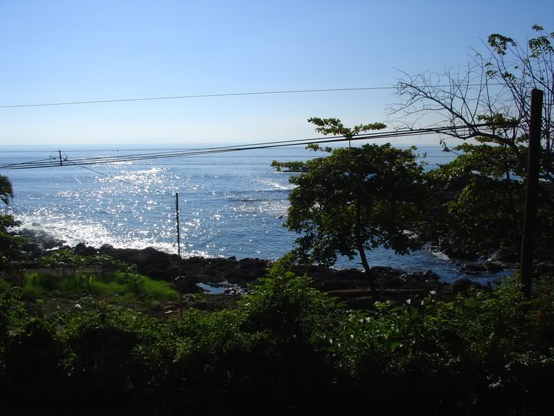 Name:  HotelView.jpg
Views: 21
Size:  101.6 KB