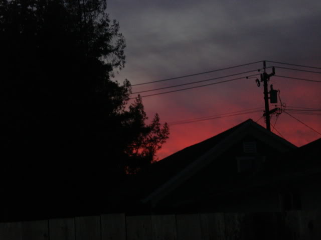 Name:  pumpkinbday001.jpg
Views: 19
Size:  21.1 KB