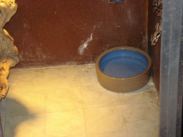 Name:  22408005.jpg
Views: 14
Size:  36.7 KB