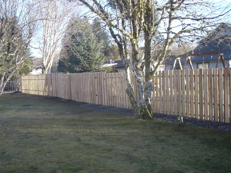 Name:  P1254254.jpg
Views: 13
Size:  144.5 KB