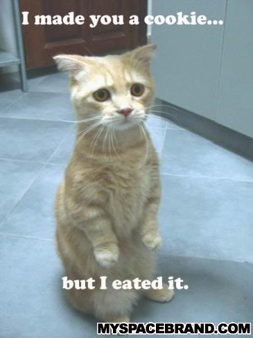 Name:  Cookie.jpg
Views: 17
Size:  20.4 KB