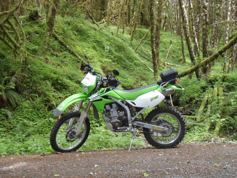 Name:  P7010296.jpg
Views: 73
Size:  148.1 KB