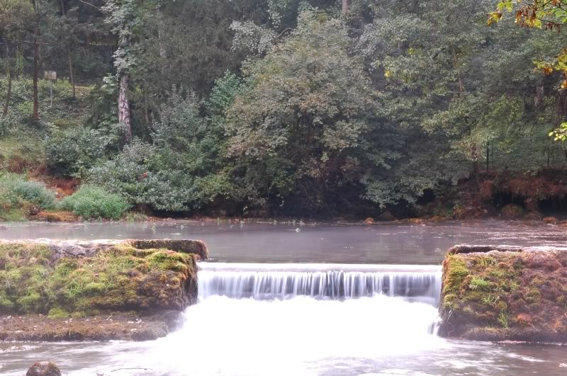 Name:  DSC_0174.jpg
Views: 13
Size:  153.8 KB