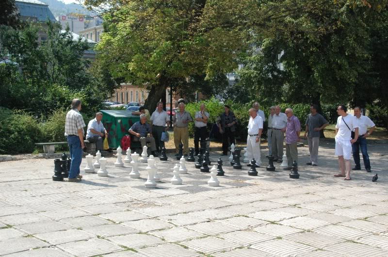 Name:  DSC_0119.jpg
Views: 11
Size:  181.9 KB