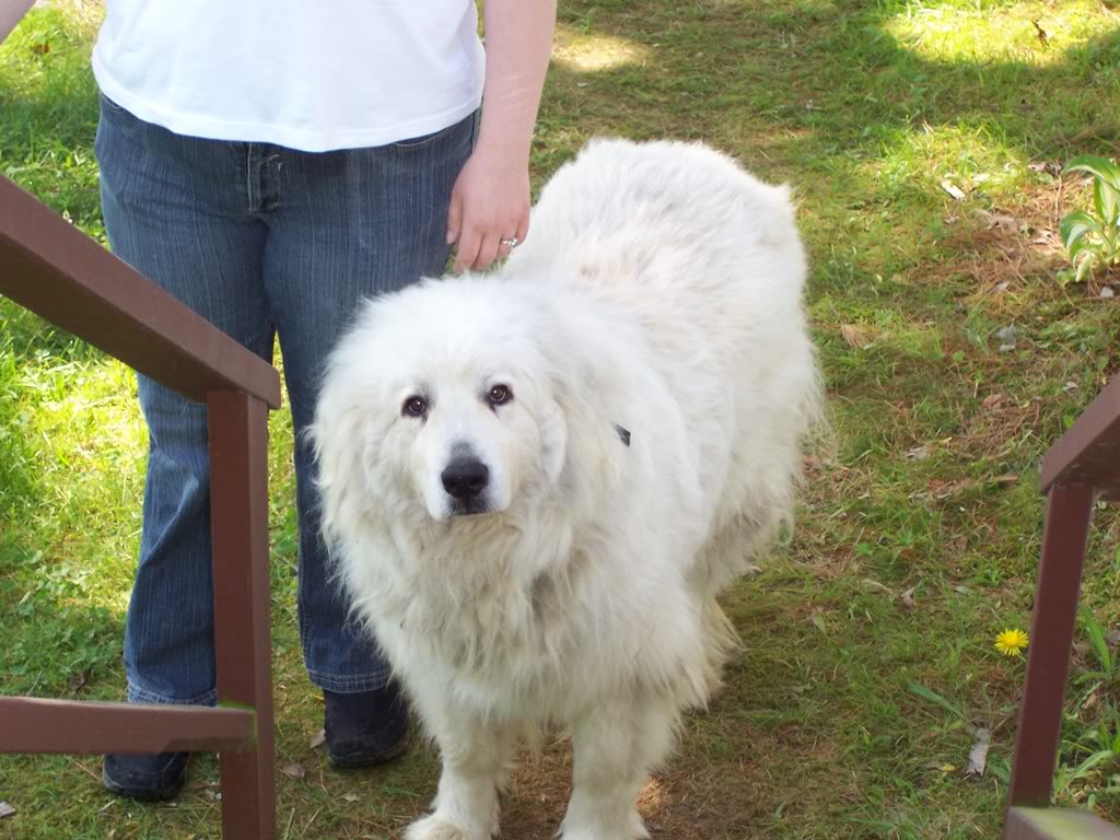 Name:  babypictures1stmemorycard003.jpg
Views: 18
Size:  145.6 KB