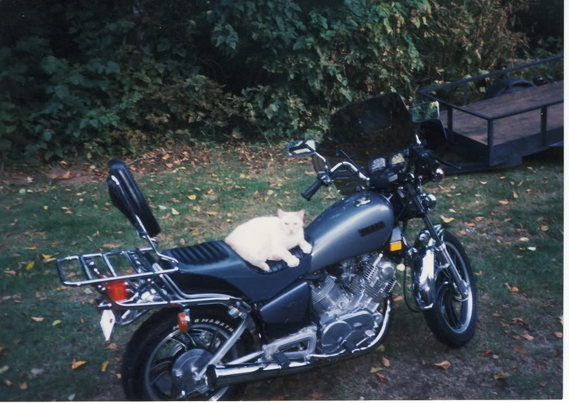 Name:  FMYamaha.jpg
Views: 19
Size:  107.6 KB