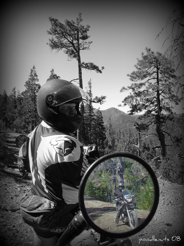 Name:  2243602780_34d6c75085_o.jpg
Views: 28
Size:  171.3 KB