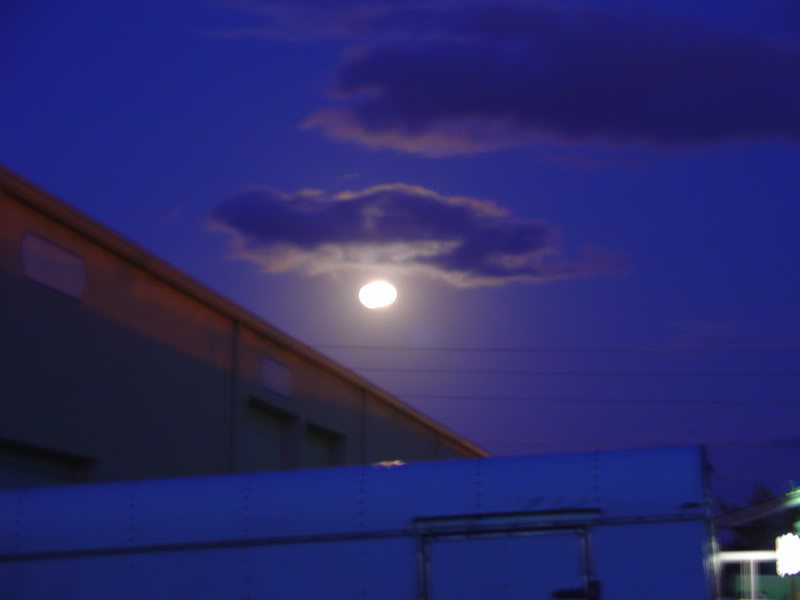 Name:  DSC00045.jpg
Views: 18
Size:  23.1 KB