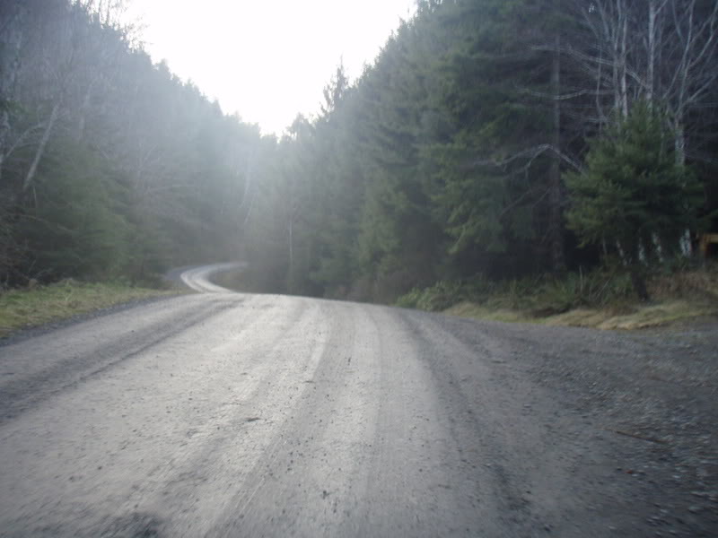 Name:  P2164384.jpg
Views: 17
Size:  60.0 KB