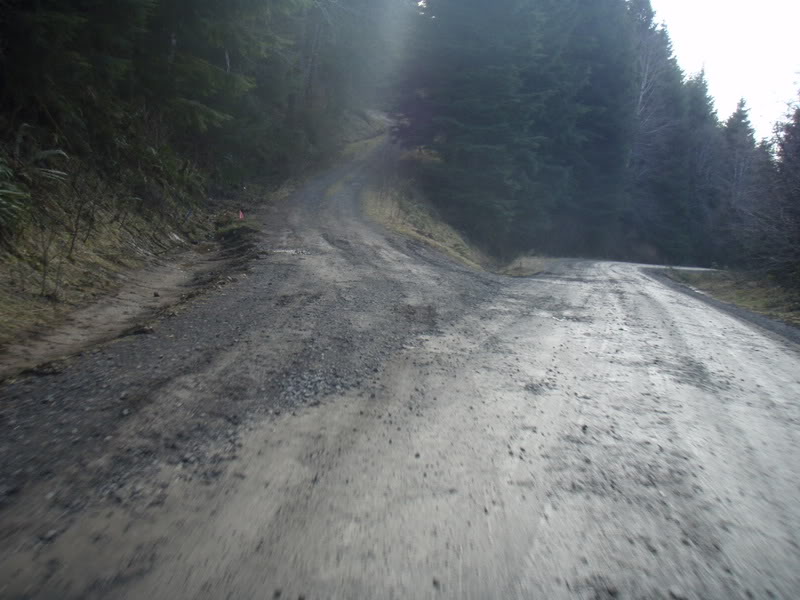 Name:  P2164386.jpg
Views: 18
Size:  78.6 KB