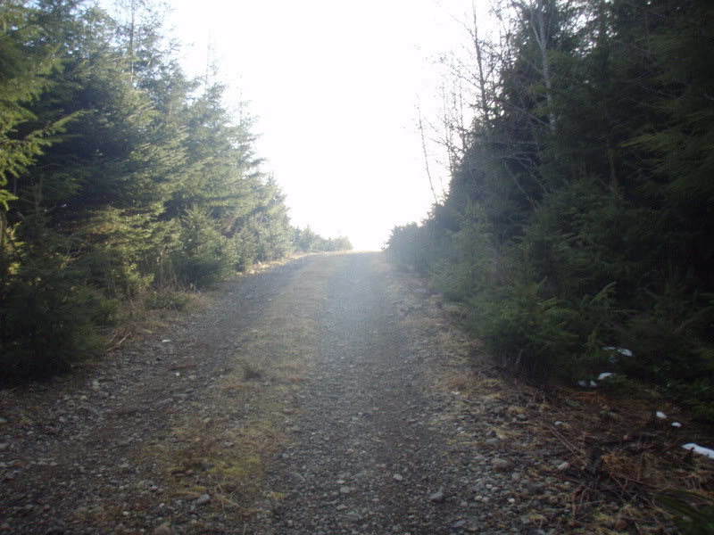 Name:  P2164391.jpg
Views: 18
Size:  97.4 KB