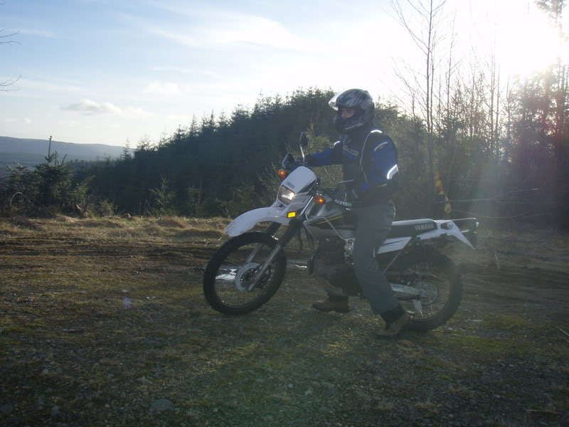 Name:  P2164392.jpg
Views: 15
Size:  81.6 KB