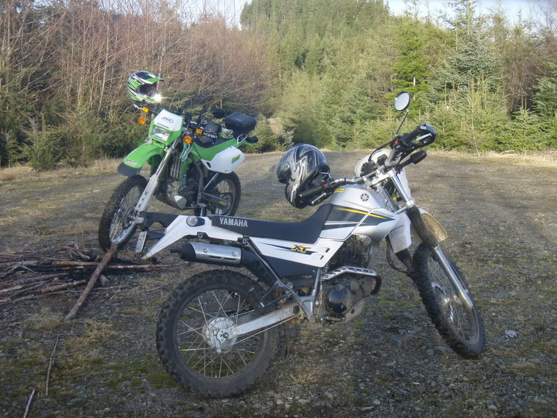 Name:  P2164394.jpg
Views: 17
Size:  136.9 KB