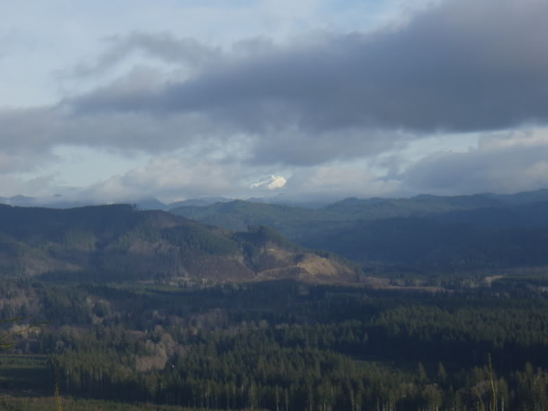 Name:  P2164395.jpg
Views: 12
Size:  38.7 KB