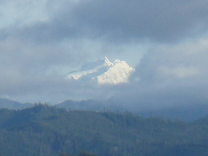 Name:  P2164396.jpg
Views: 11
Size:  29.9 KB