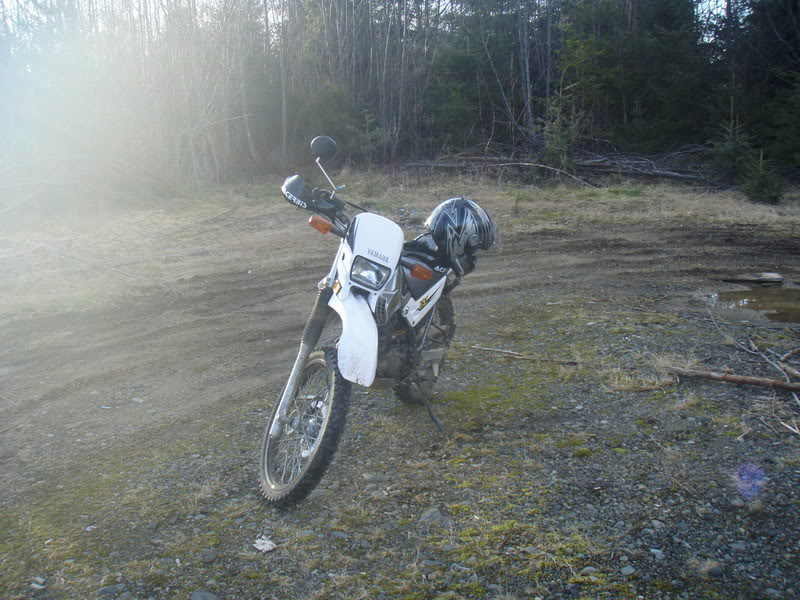 Name:  P2164398.jpg
Views: 11
Size:  118.8 KB