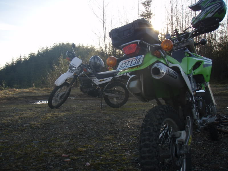 Name:  P2164411.jpg
Views: 14
Size:  102.2 KB