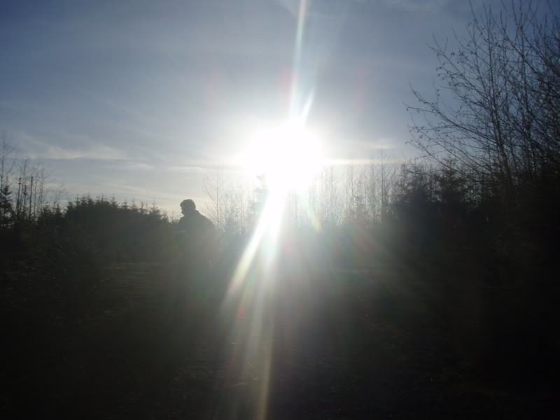 Name:  P2164406.jpg
Views: 14
Size:  45.0 KB