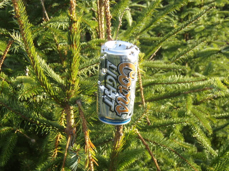 Name:  P2164408.jpg
Views: 12
Size:  141.4 KB