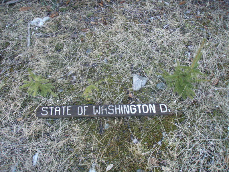 Name:  P2164417.jpg
Views: 15
Size:  158.5 KB